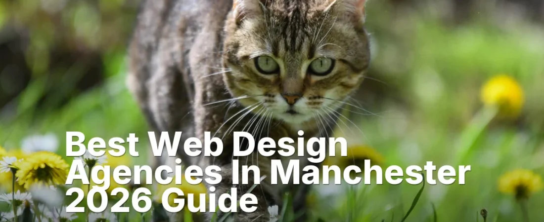 Best Web Design Agencies In Manchester 2026 Guide