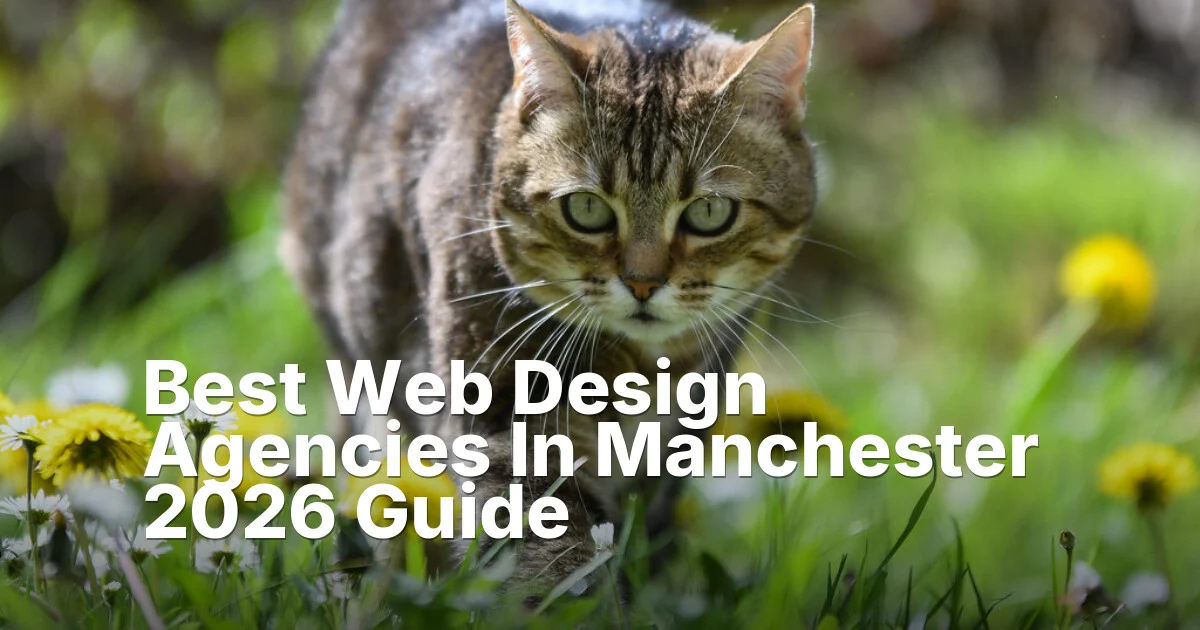Best Web Design Agencies In Manchester 2026 Guide