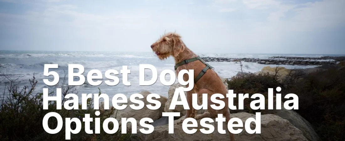5 Best Dog Harness Australia Options Tested