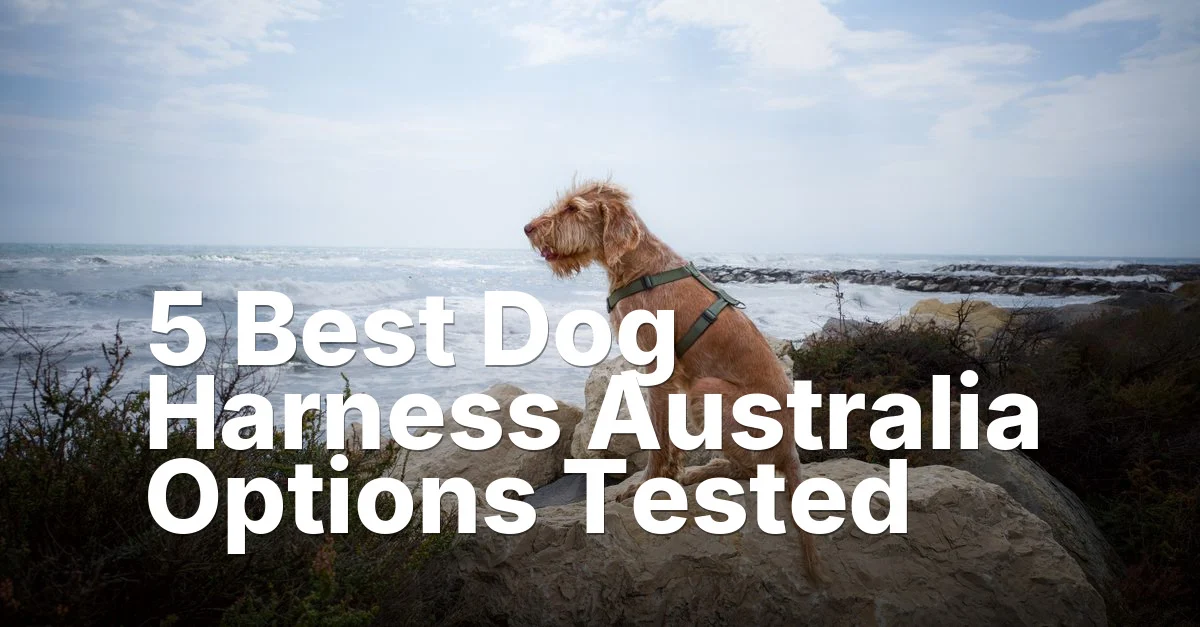 5 Best Dog Harness Australia Options Tested
