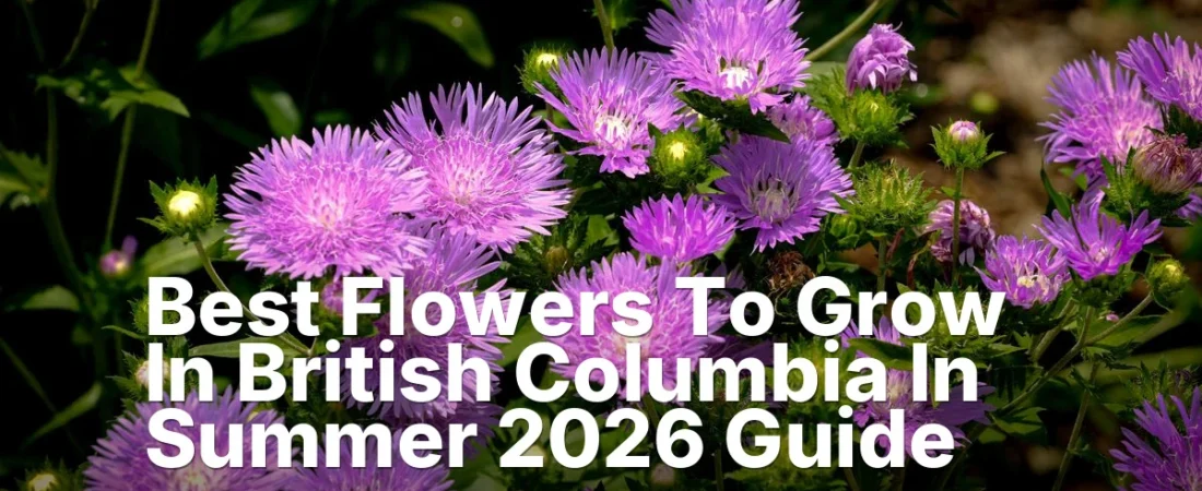 Best Flowers To Grow In British Columbia In Summer 2026 Guide