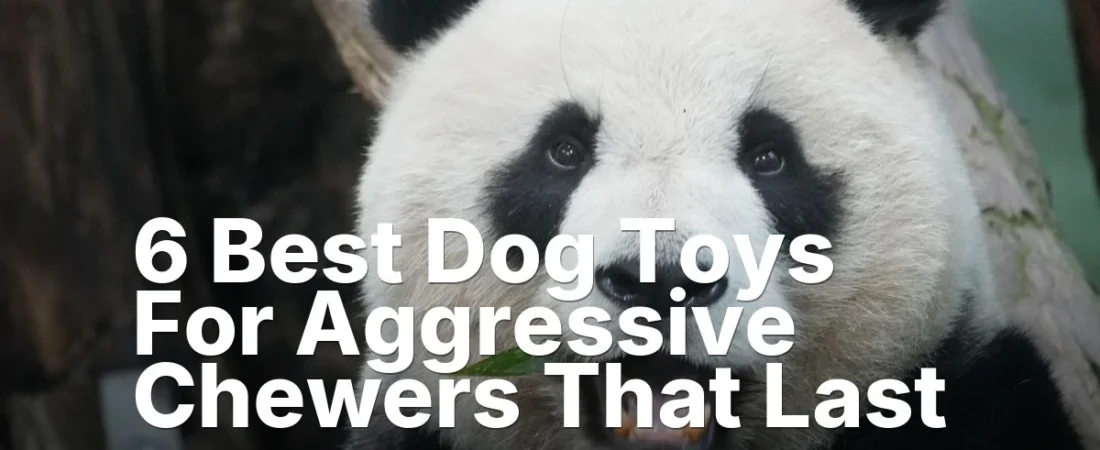 6 Best Dog Toys For Aggressive Chewers That Last