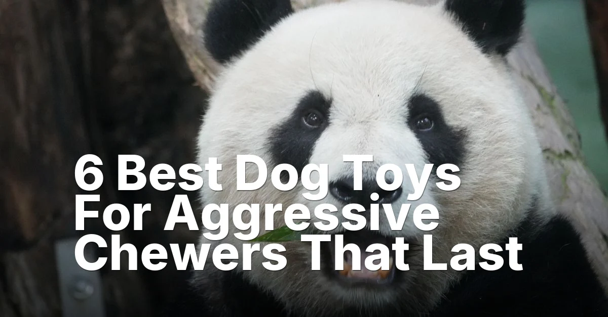 6 Best Dog Toys For Aggressive Chewers That Last
