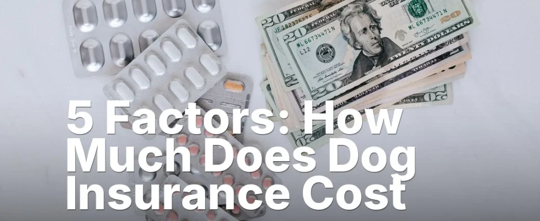 5 Factors: How Much Does Dog Insurance Cost