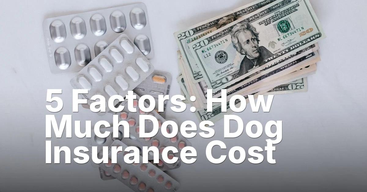 5 Factors: How Much Does Dog Insurance Cost