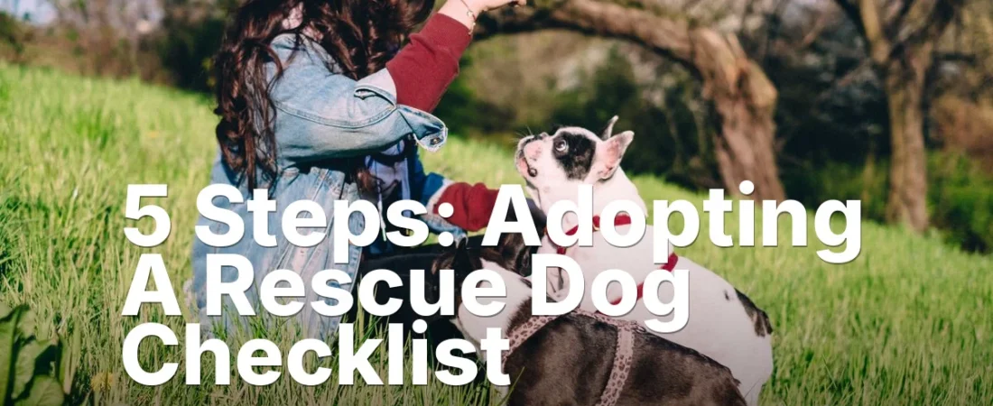 5 Steps: Adopting A Rescue Dog Checklist