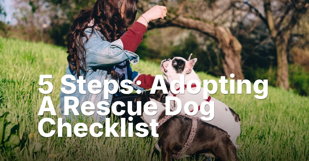 5 Steps: Adopting A Rescue Dog Checklist