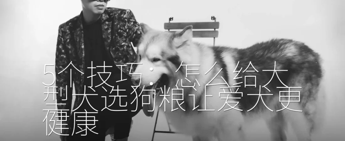 5个技巧:怎么给大型犬选狗粮让爱犬更健康
